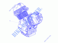 Motor Fertigstellung für MOTO GUZZI V7 III Anniversario 750 E4 ABS 2017