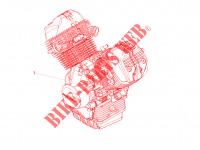 Motor Fertigstellung für MOTO GUZZI V7 III Racer e4 2017